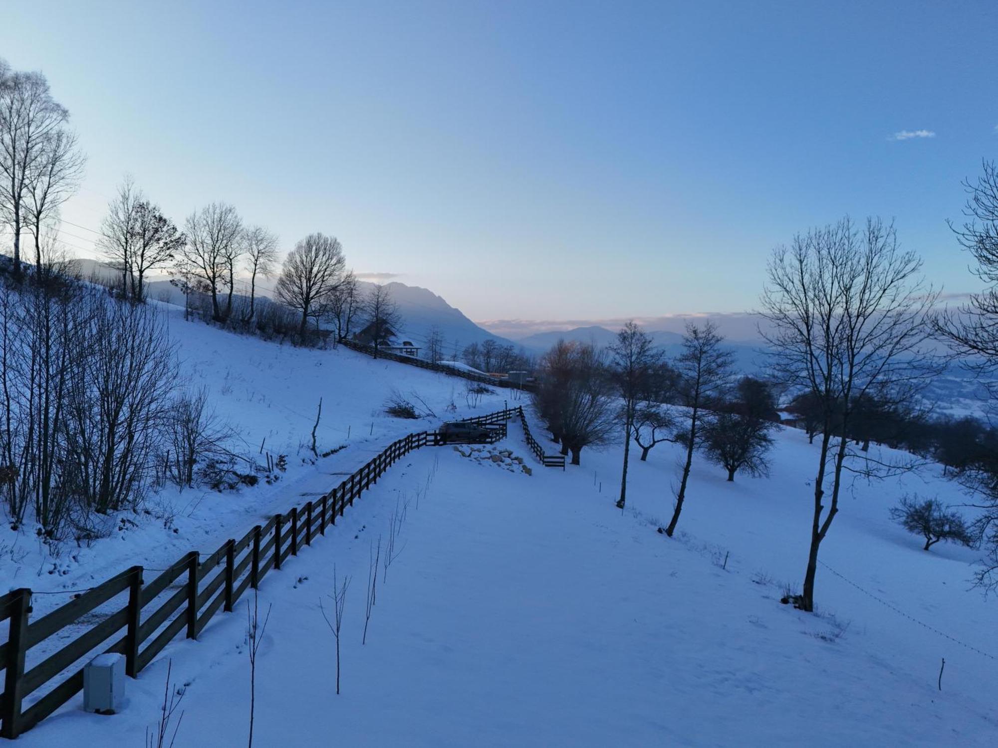 Doza De Verde Retreat&Spa Bran-Adults Only Sohodol  Eksteriør bilde