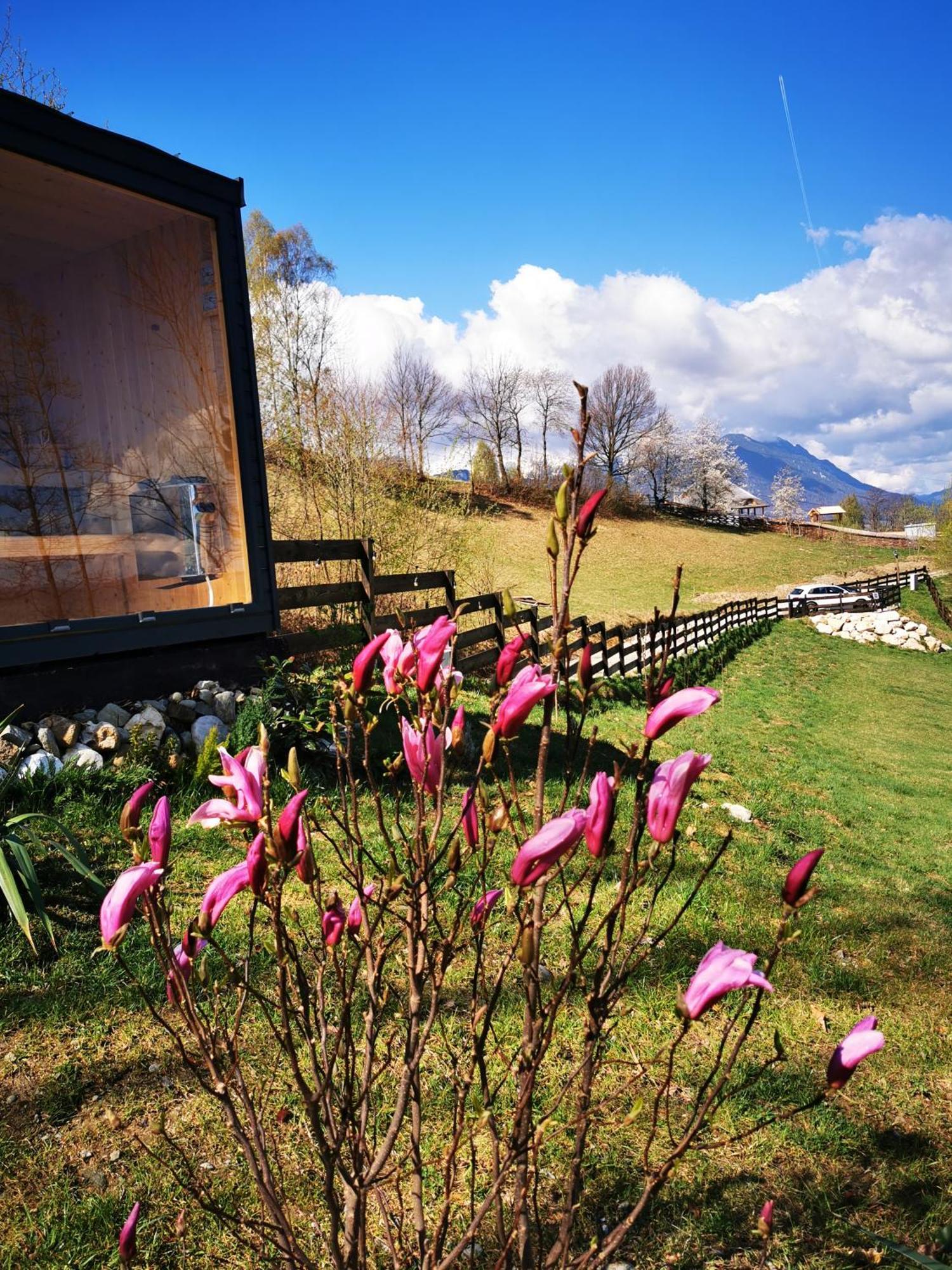 Doza De Verde Retreat&Spa Bran-Adults Only Sohodol  Eksteriør bilde
