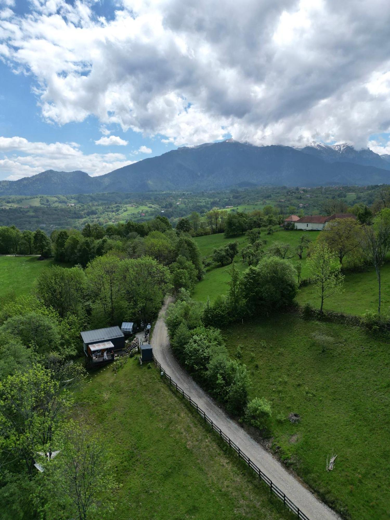 Doza De Verde Retreat&Spa Bran-Adults Only Sohodol  Eksteriør bilde